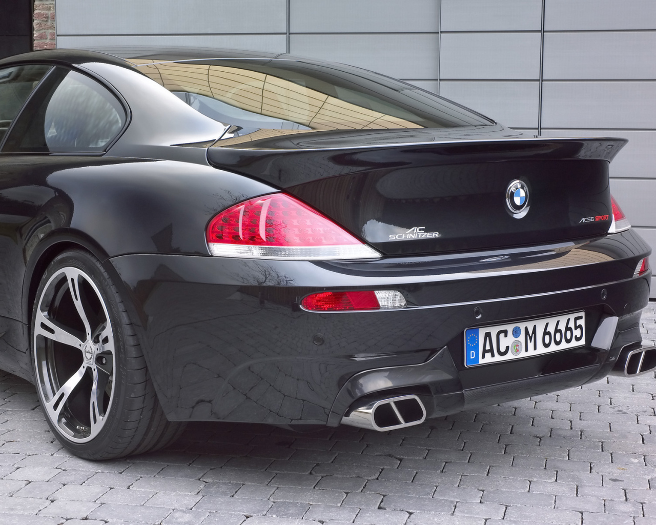 Schnitzer 2006 Вид сзади