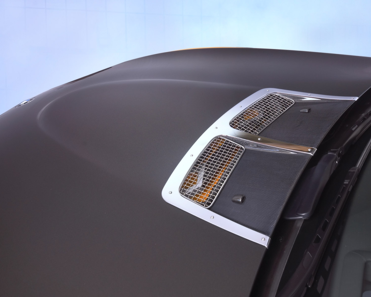 Капот Schnitzer