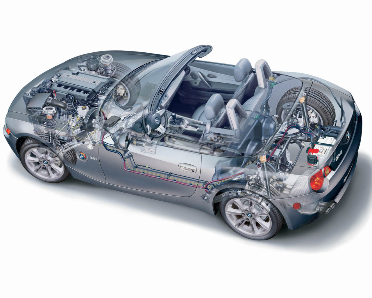 Z4 Organic рисунок