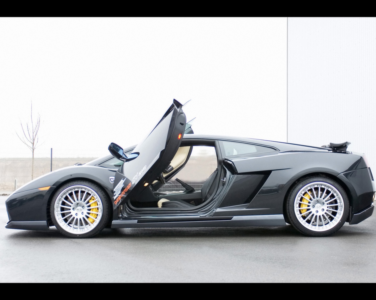 Lamborghini 2006 года