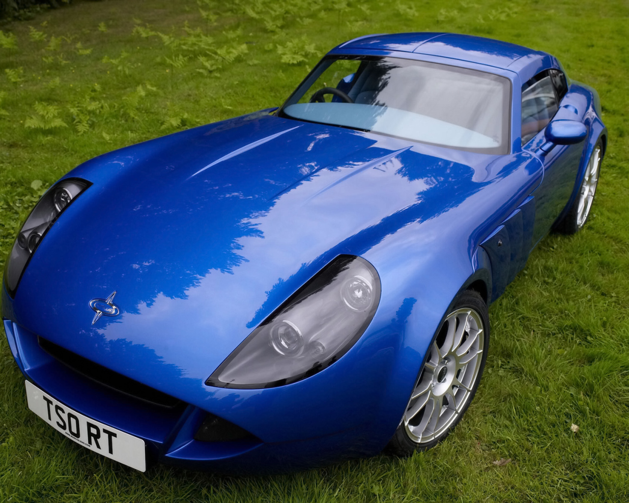 Синий Marcos TSO