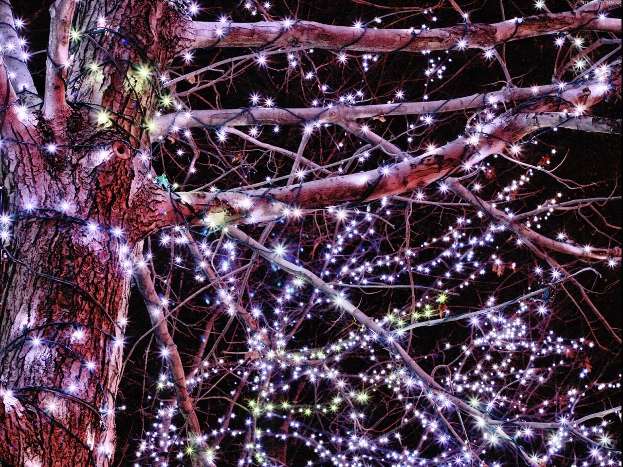 Гирлянды / Рождество