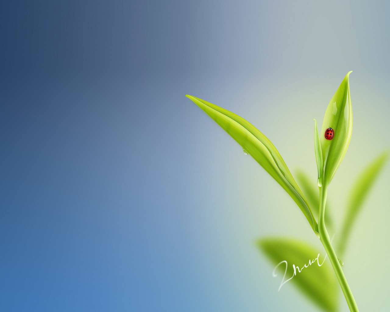 Божья коровка