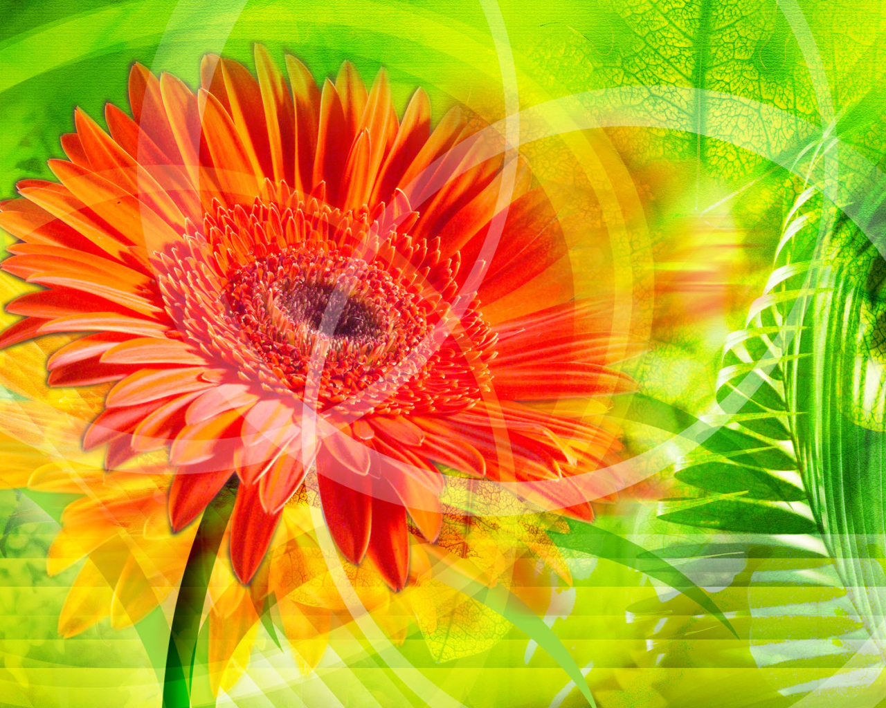 Красное сияние