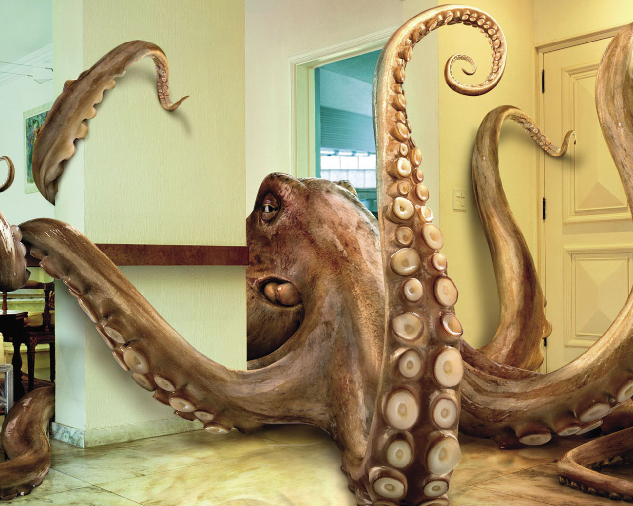 Домашний осминог