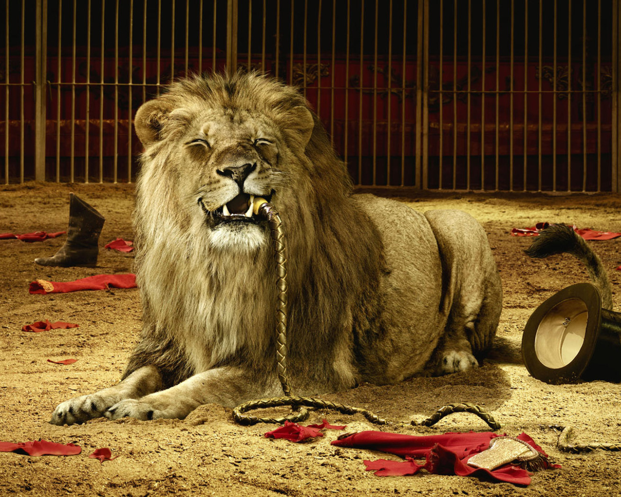 Плохой дрессировщик