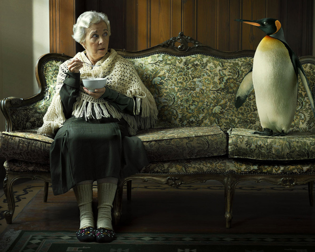 The old woman and penguin