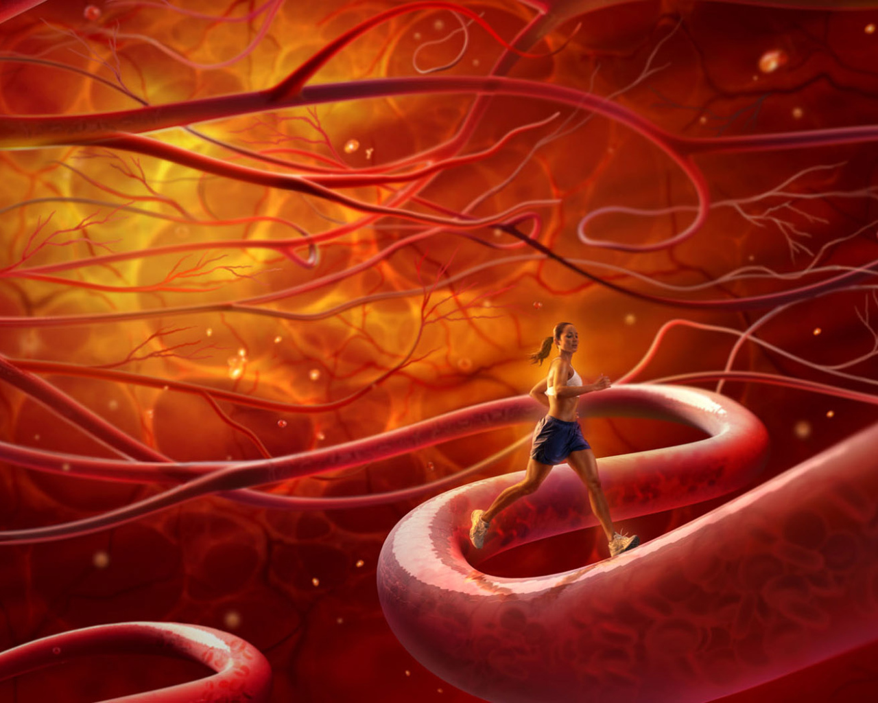 Тренировка