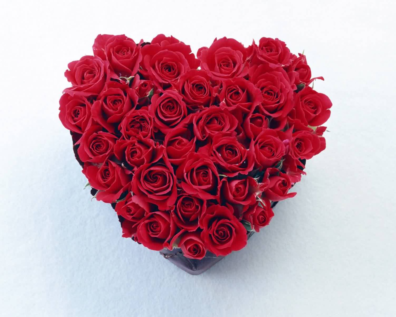 Красное сердце