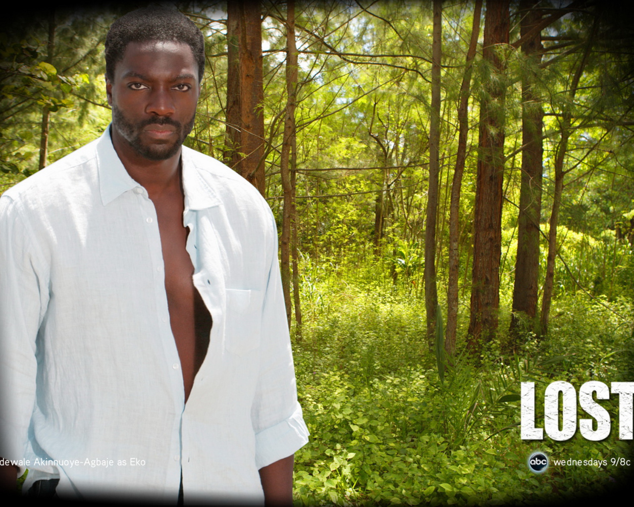 Остаться в живых / Сериал потерянные / LOST / Эко