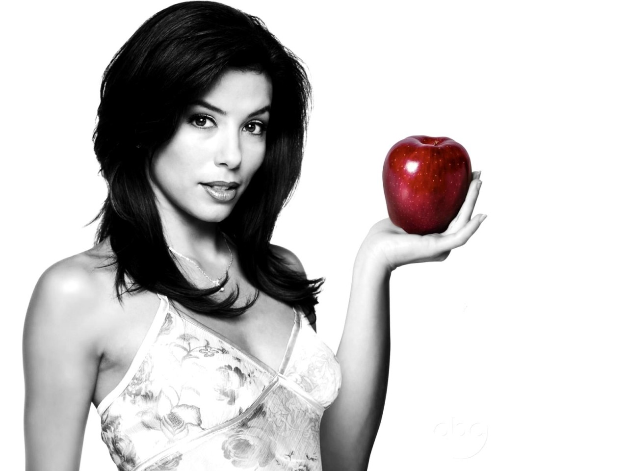 Отчаянные домохозяйки / Desperate Housewives