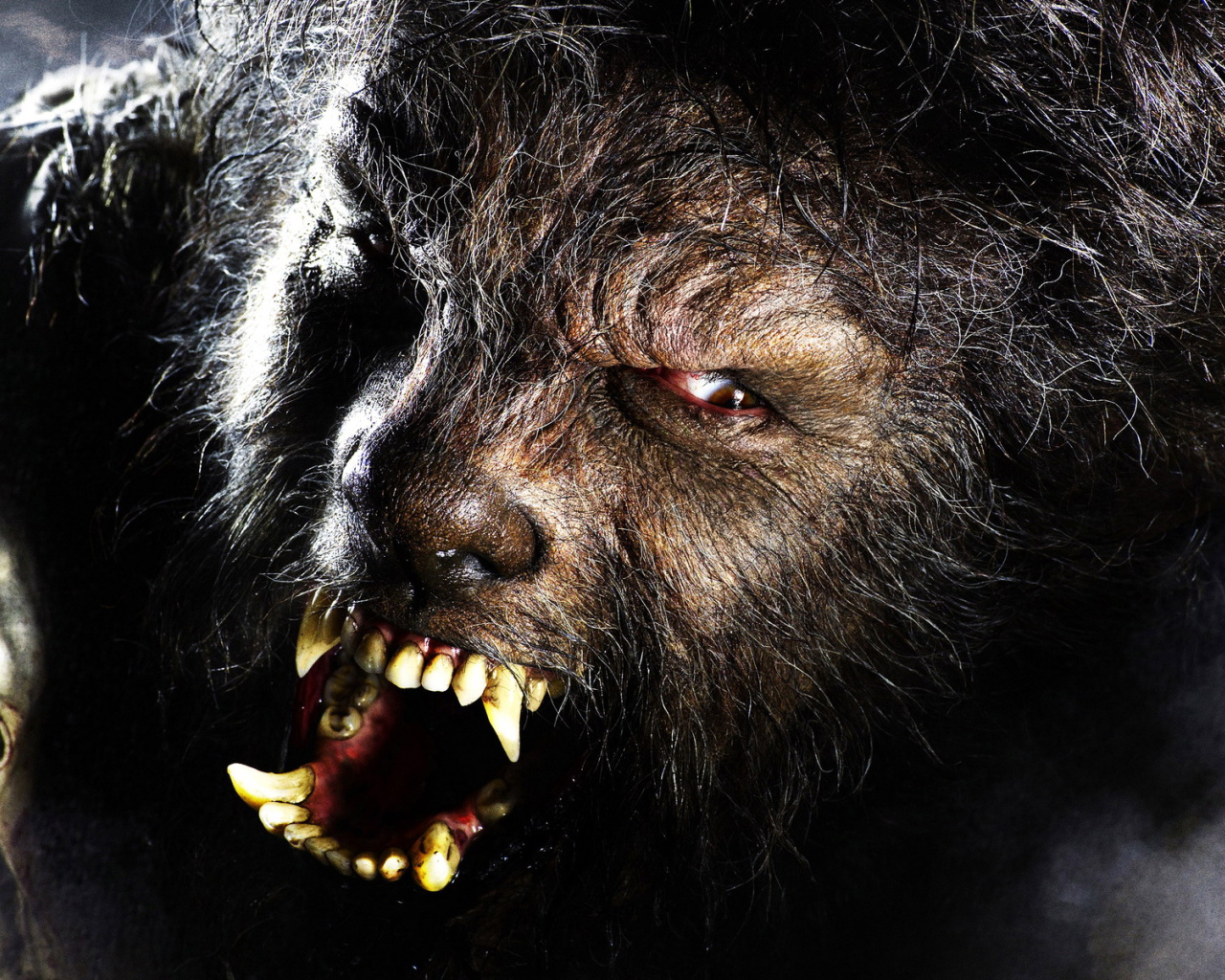 Wolf Man , The