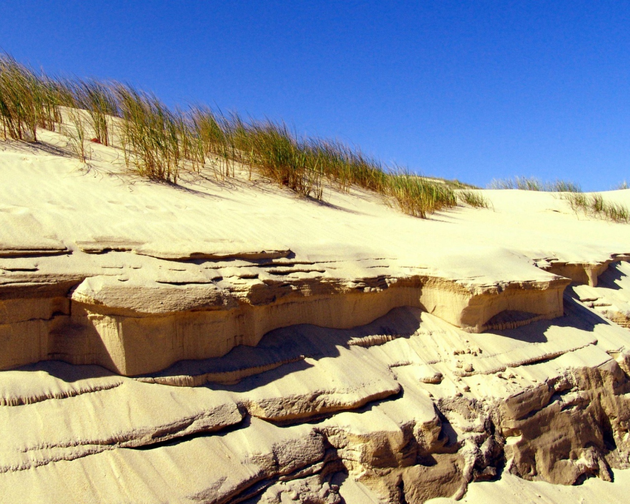 Береговые дюны