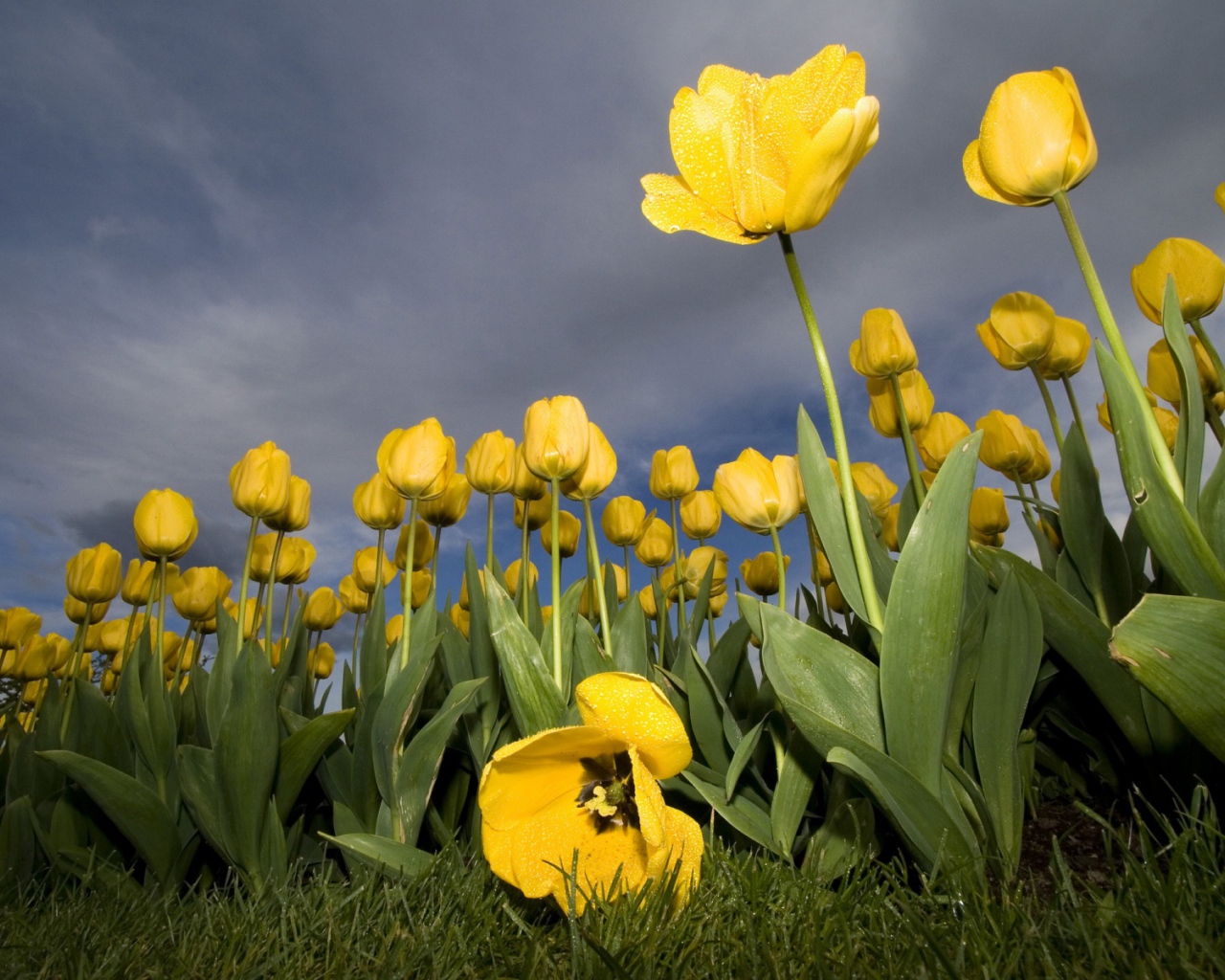 Против Солнца