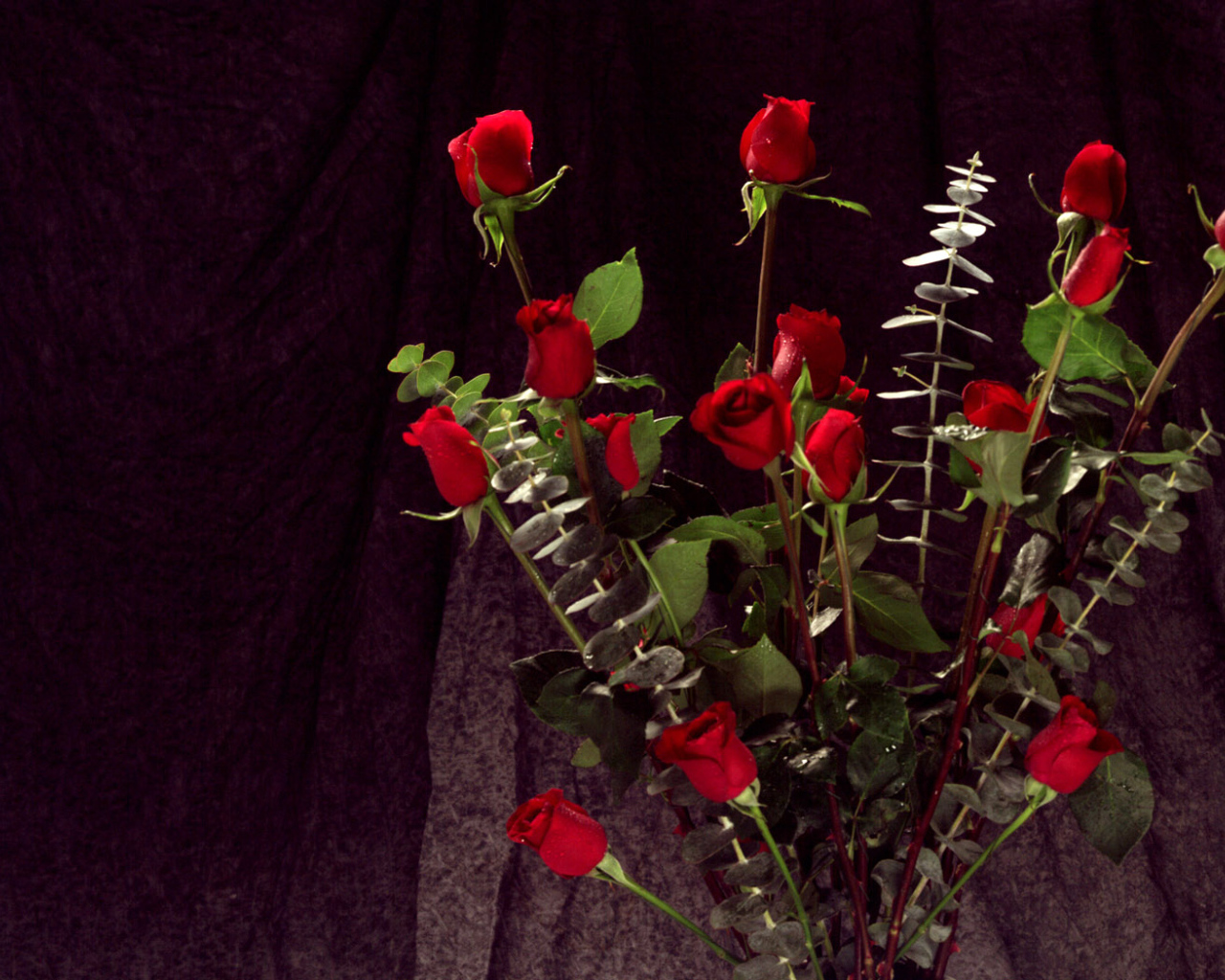 Связка красных роз, Цветов