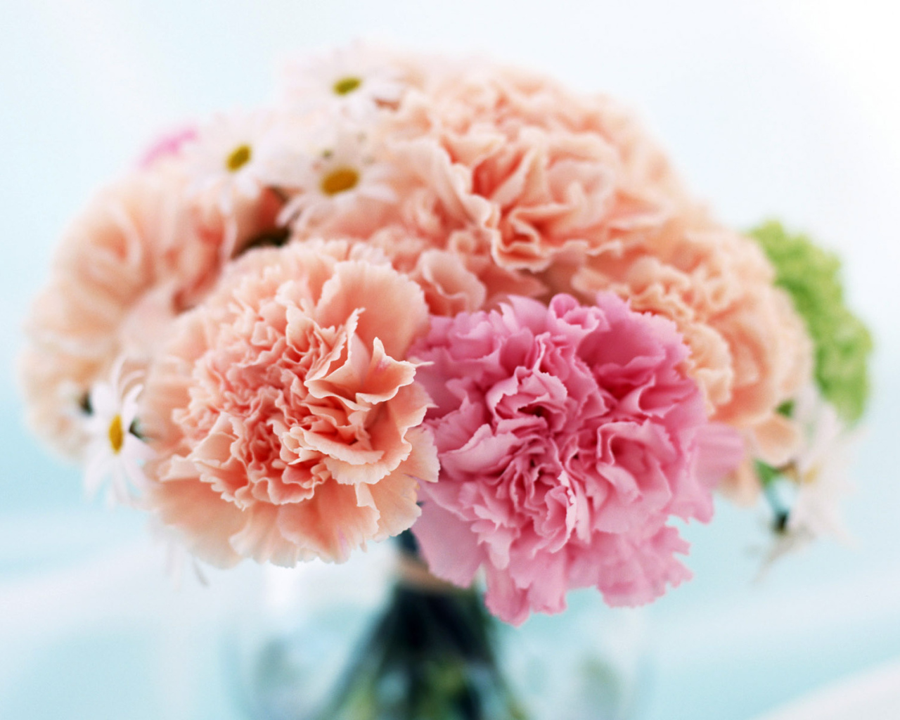 Домашний букет, Цветы