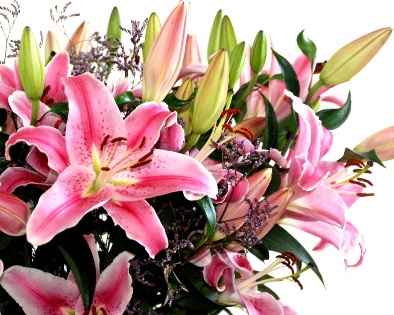 Хороший, Цветы