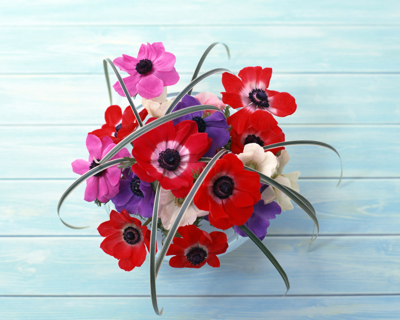 Цветы на стене