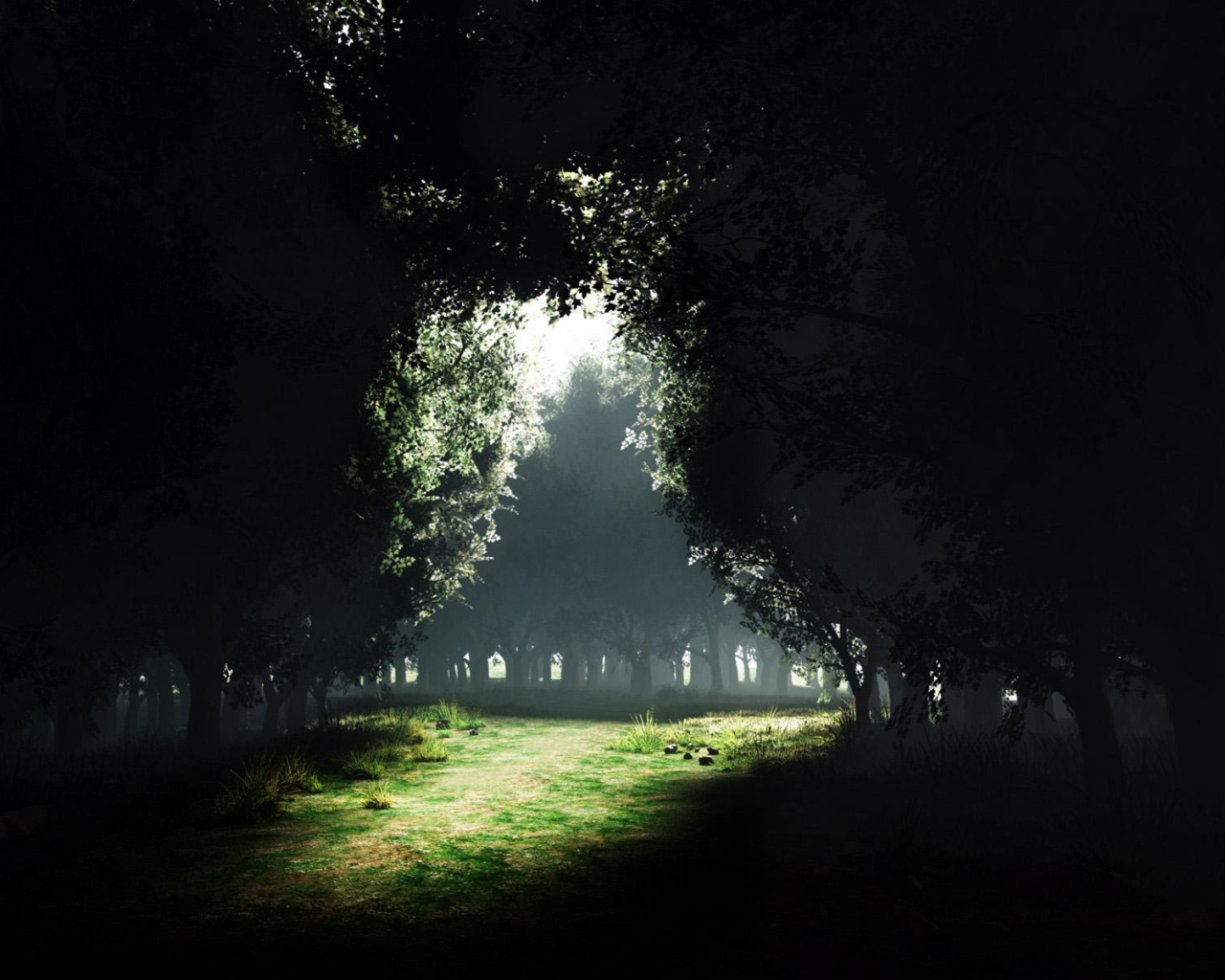 Просвет Темного леса