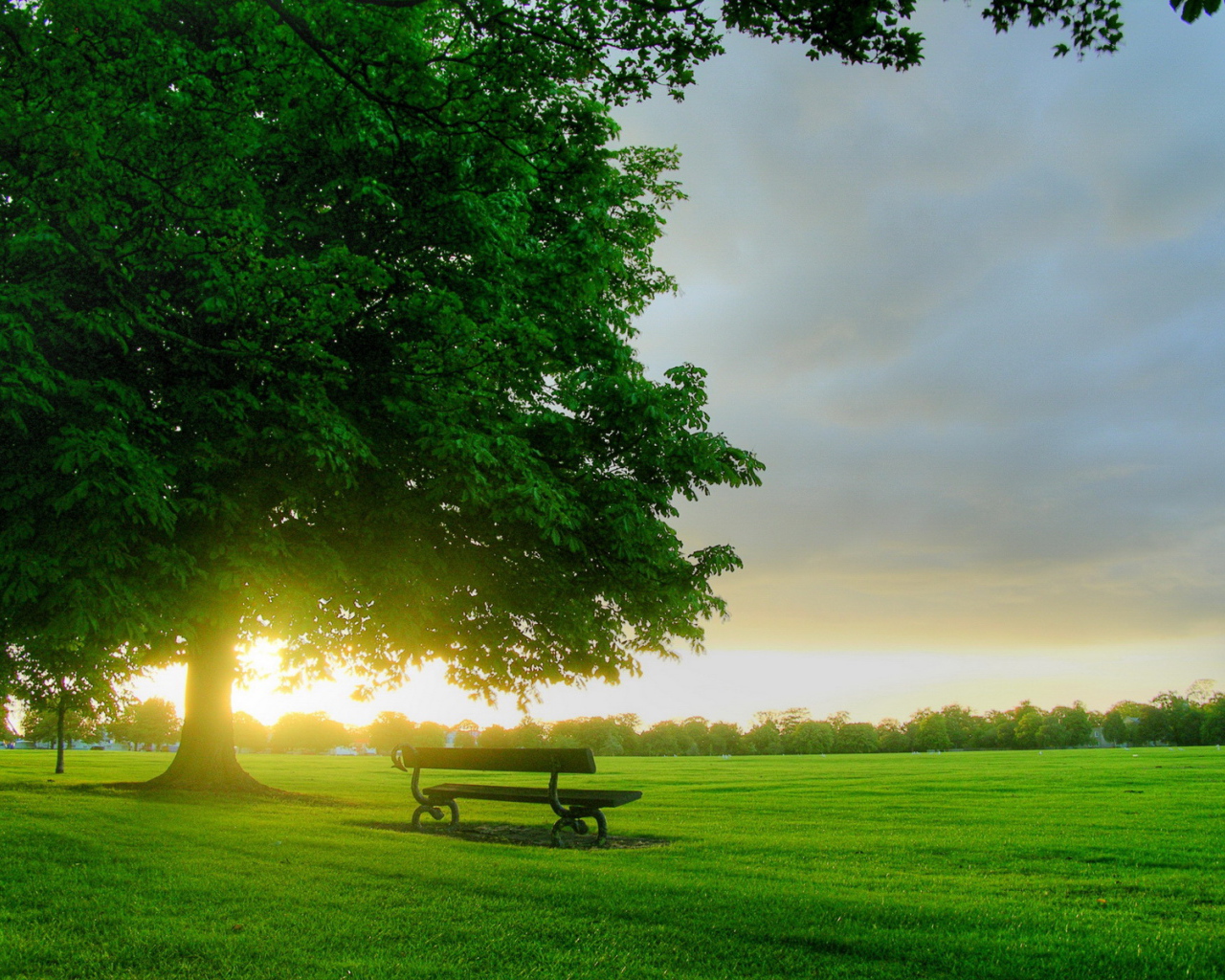 Рассвет в парке