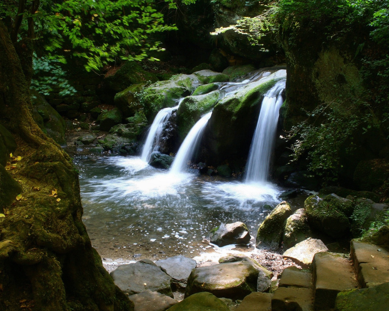 Водопад в лесу
