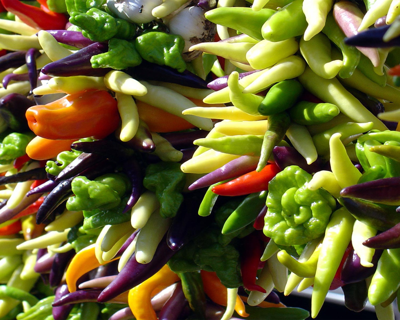 Яркие перцы