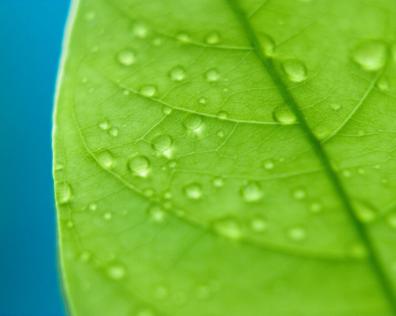 Сбор капель