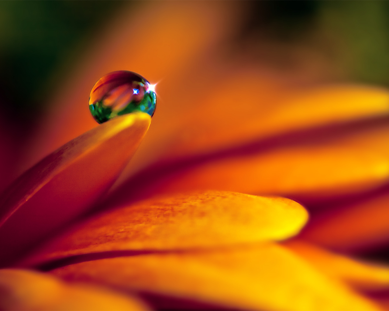 Кристальная капля