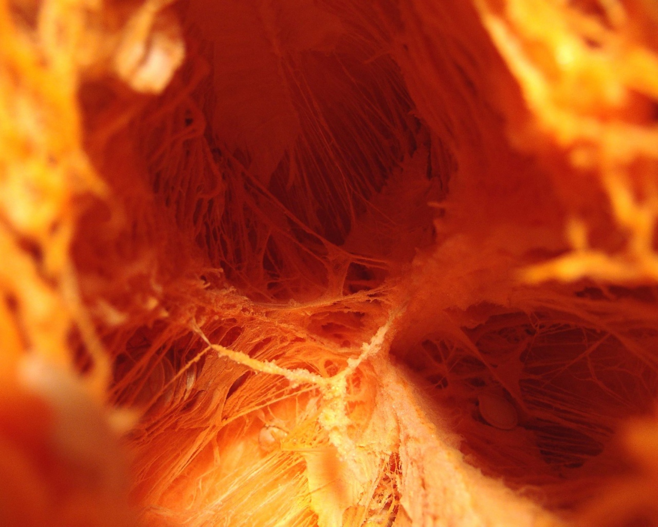 Внутренняя тыква