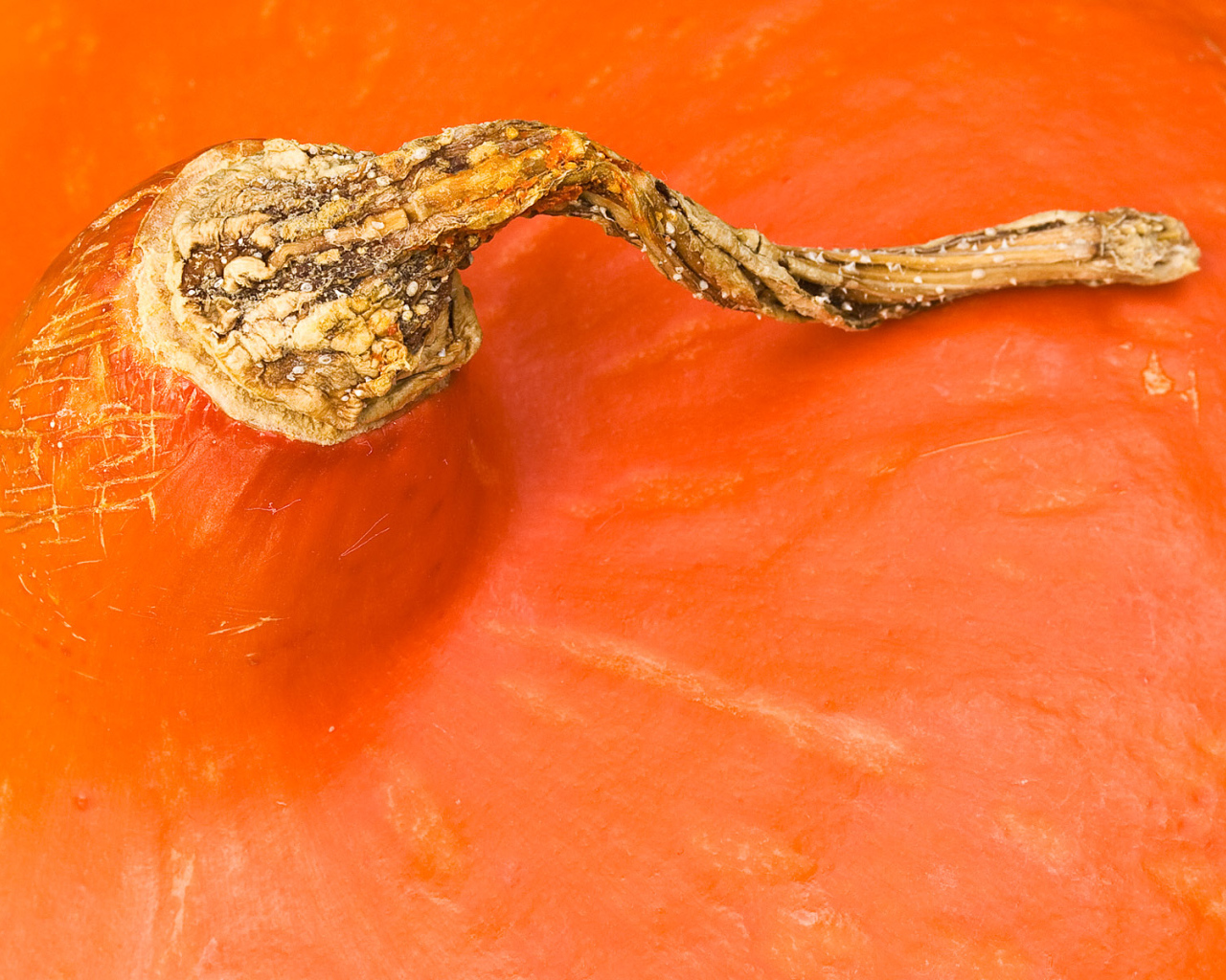 Оранжевая часть тыквы