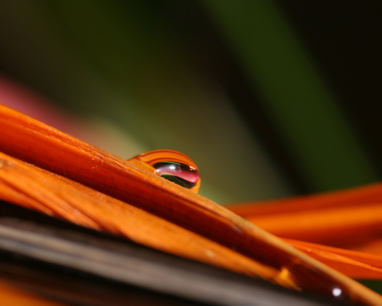 Гладкое Скольжение