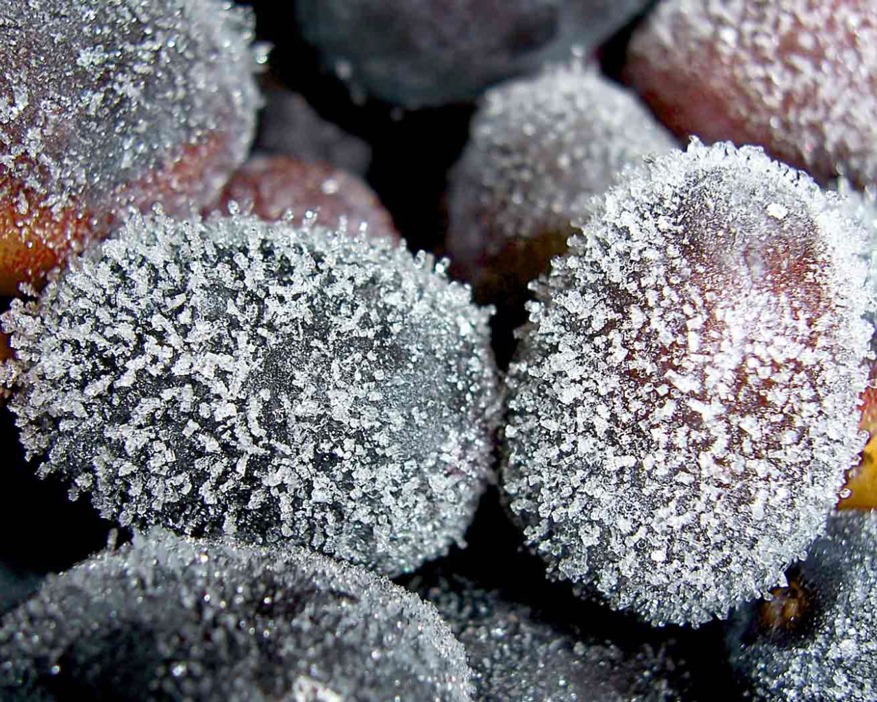 замороженный виноград