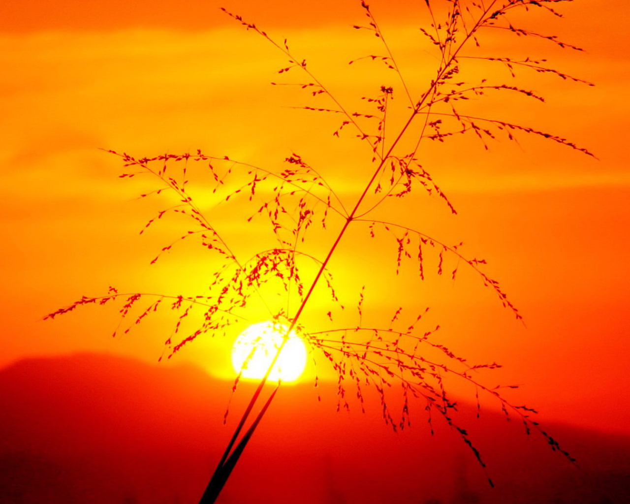 Красивый закат