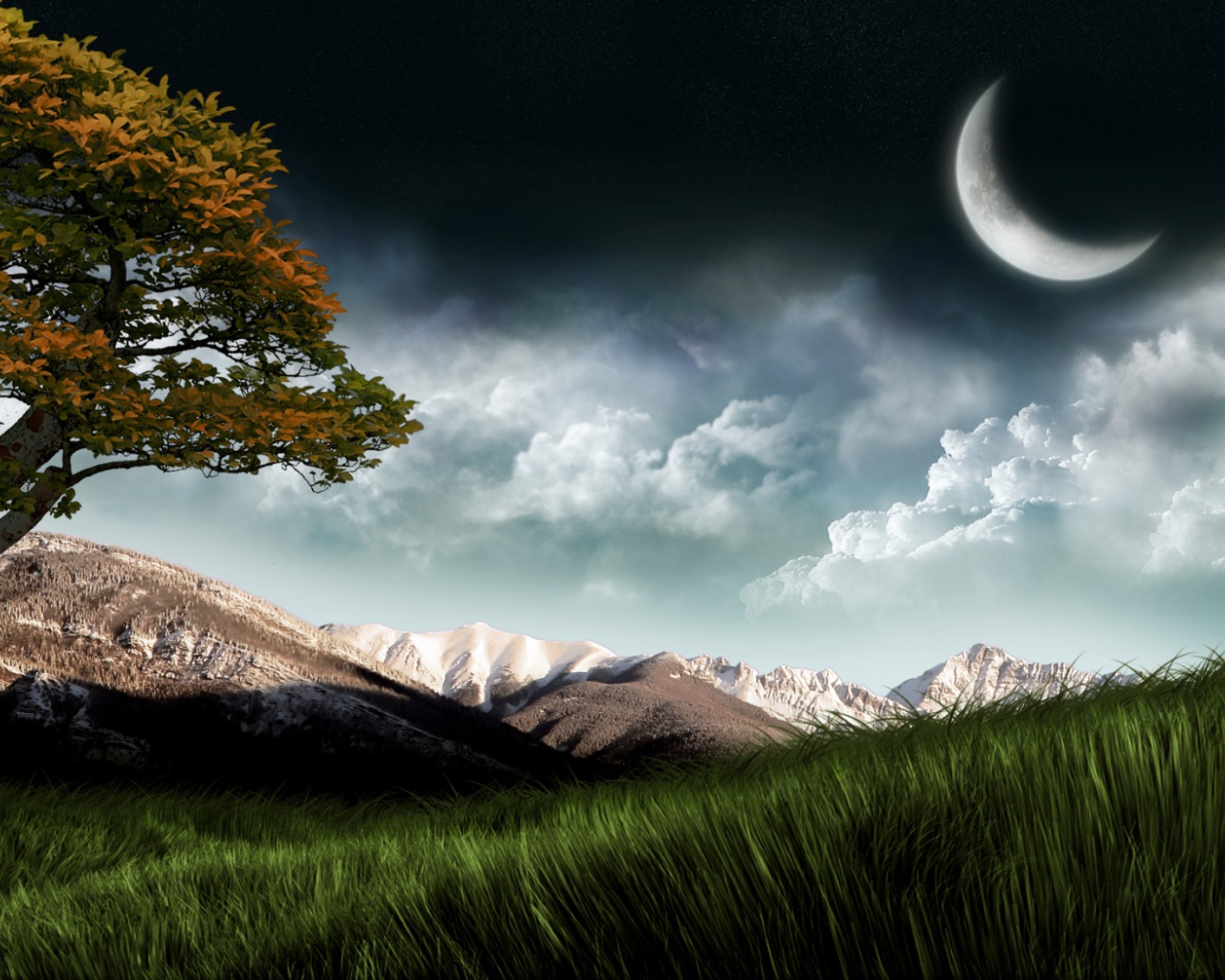 Луна над полем