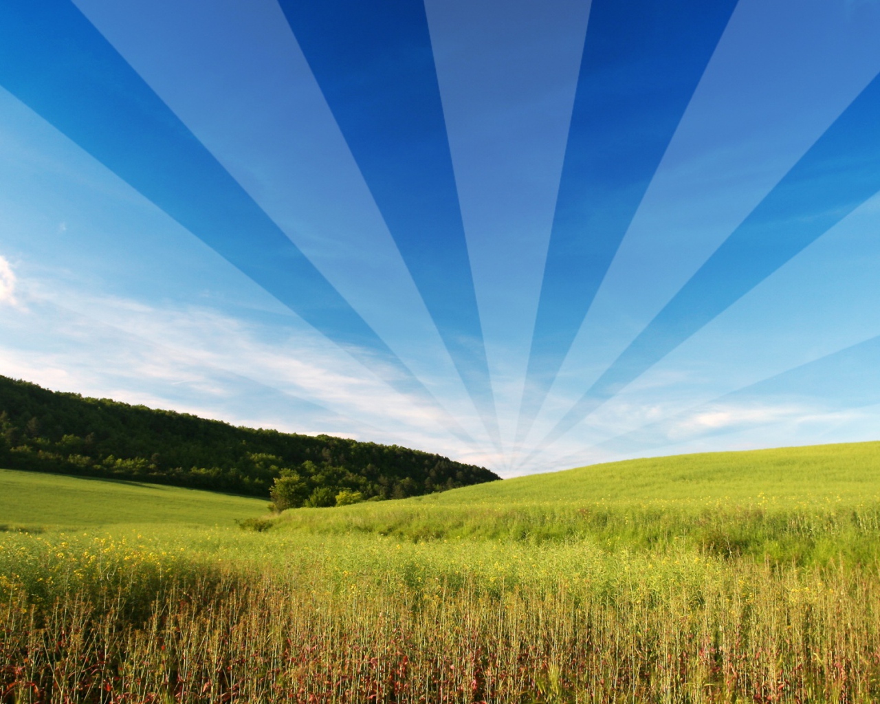 Открытый и свободный