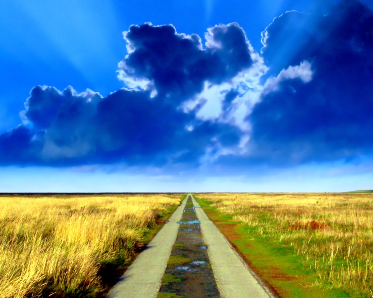 Дорога в никуда