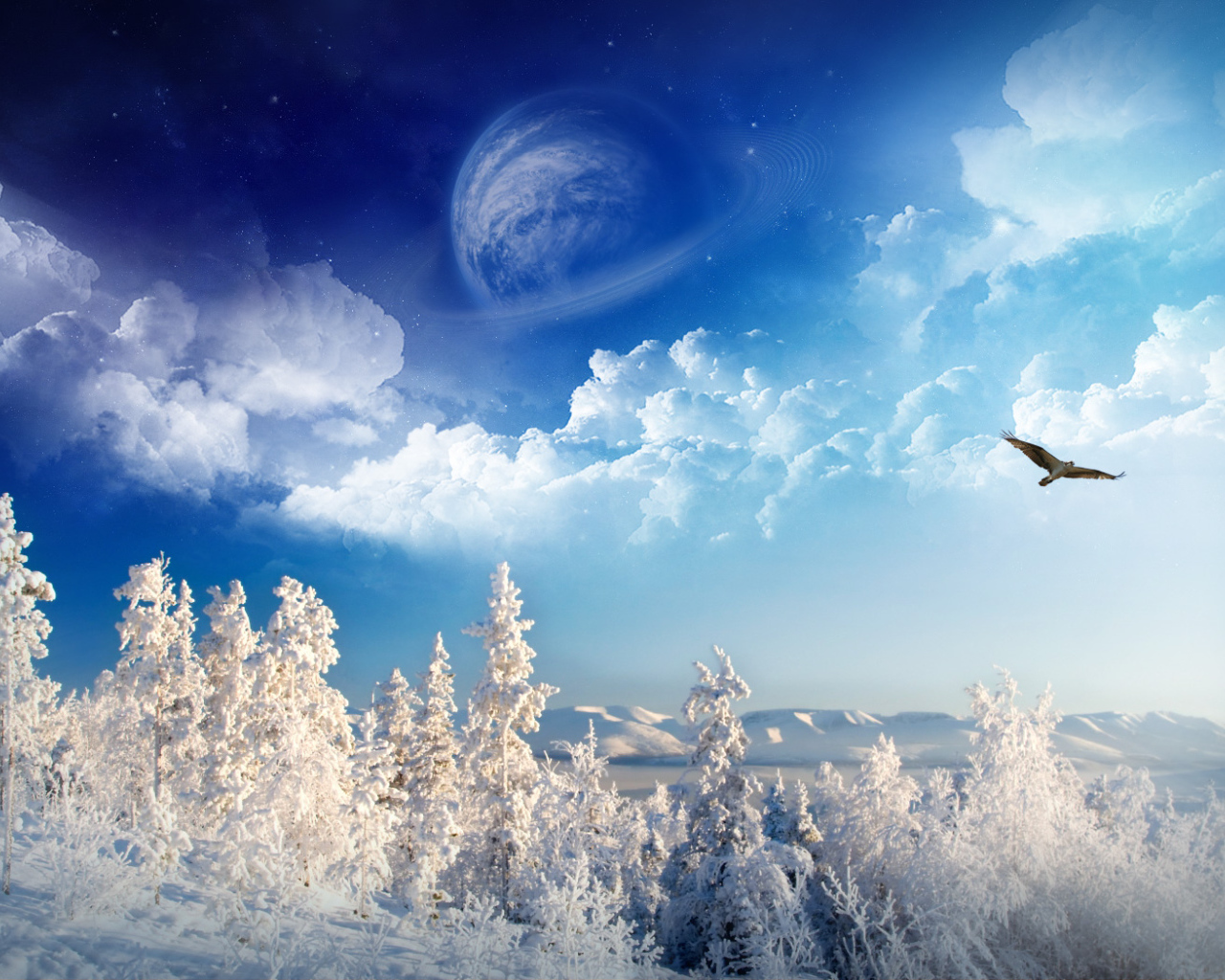 Зимняя страна чудес