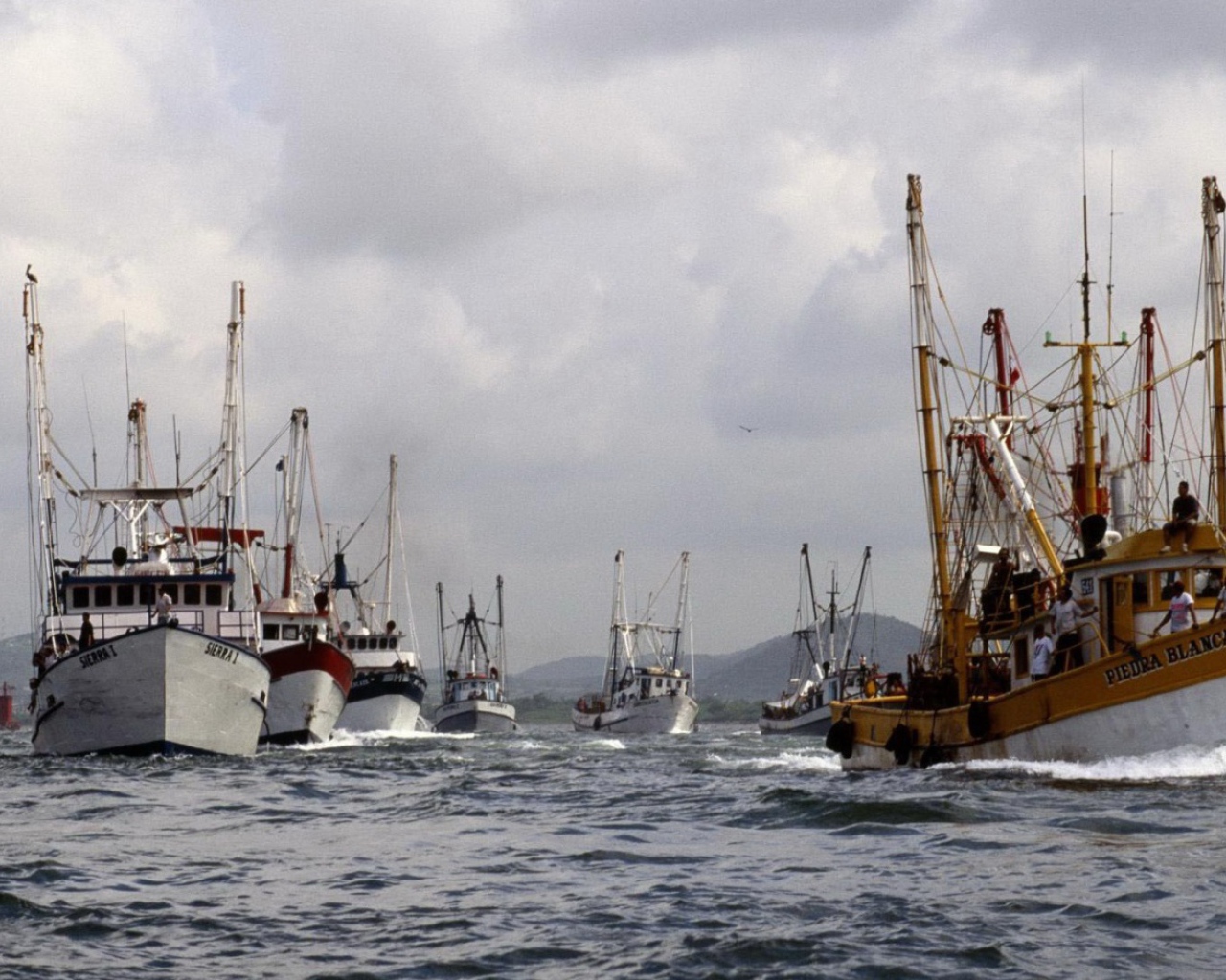 Суда в гавани