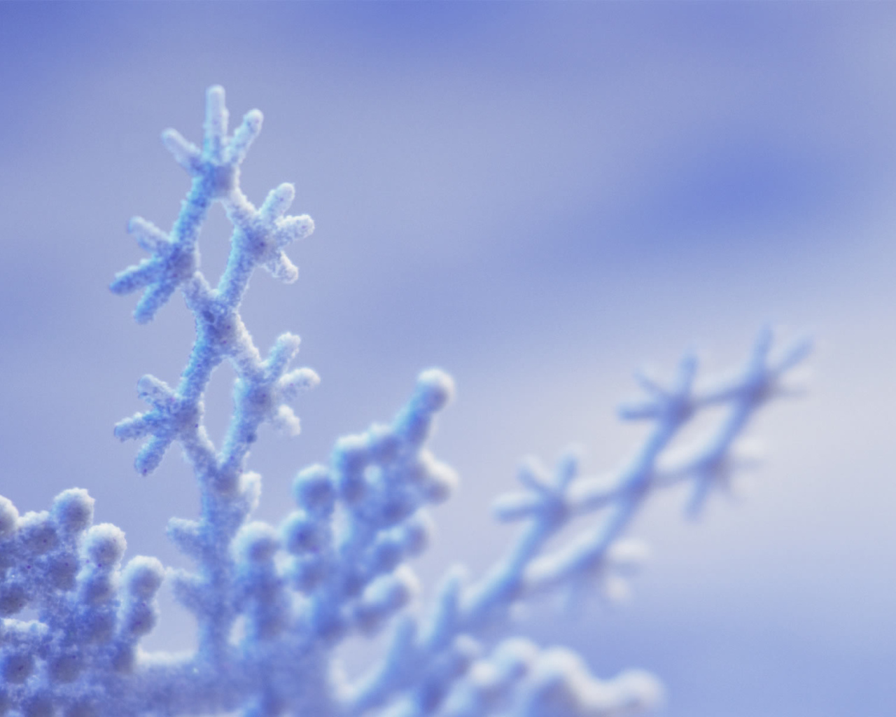 Замерзшие формы