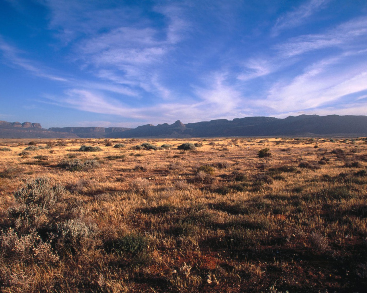 Karoo - Кару / Африка