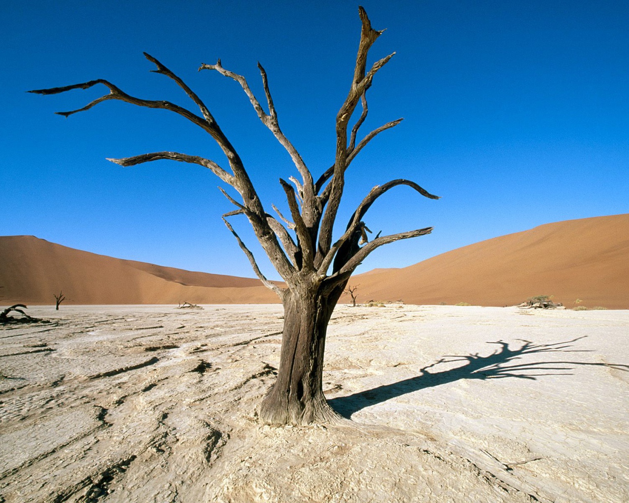Парк Namib-Naukluft / Пустыня Намиб / Намибия / Африка