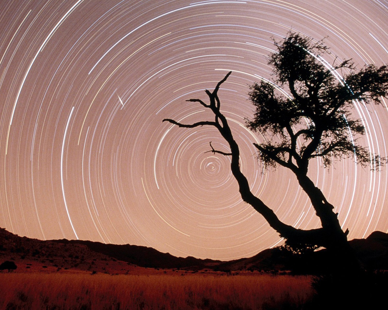 Следы Звезды / Парк Namib-Naukluft / Пустыня Намиб / Намибия / Африка