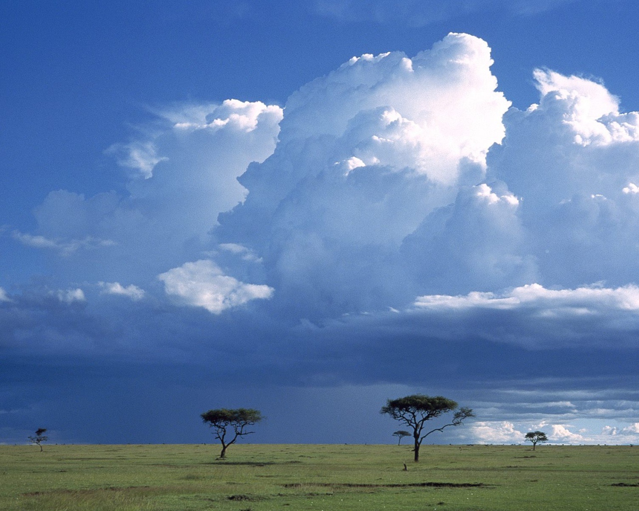 Шторм по Саванне / Masai Mara Резервация / Кения / Африка