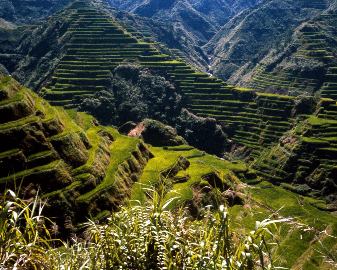 Древние Террасы Риса / Филиппины