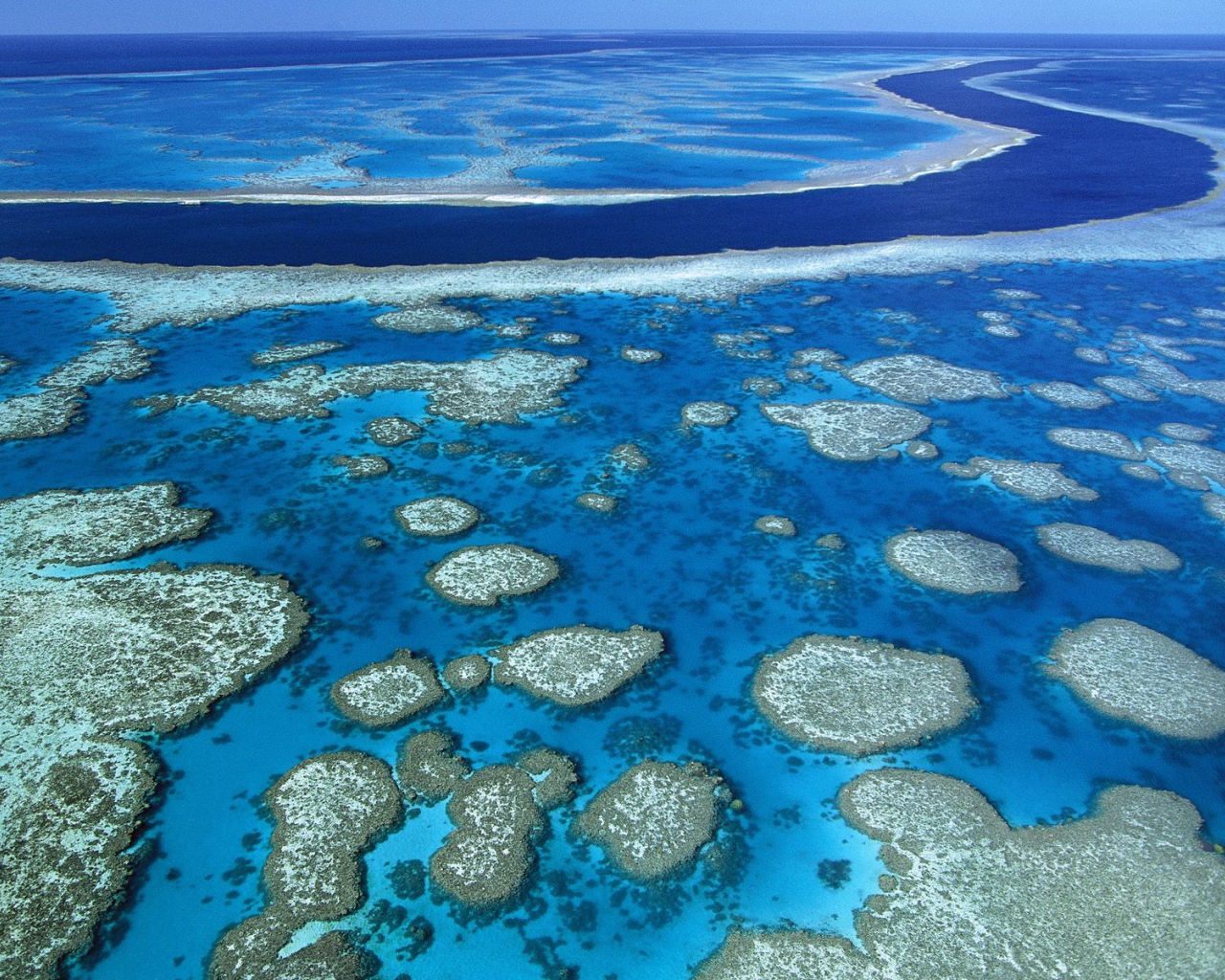  Большой Барьерный риф / Квинсленд / Австралия