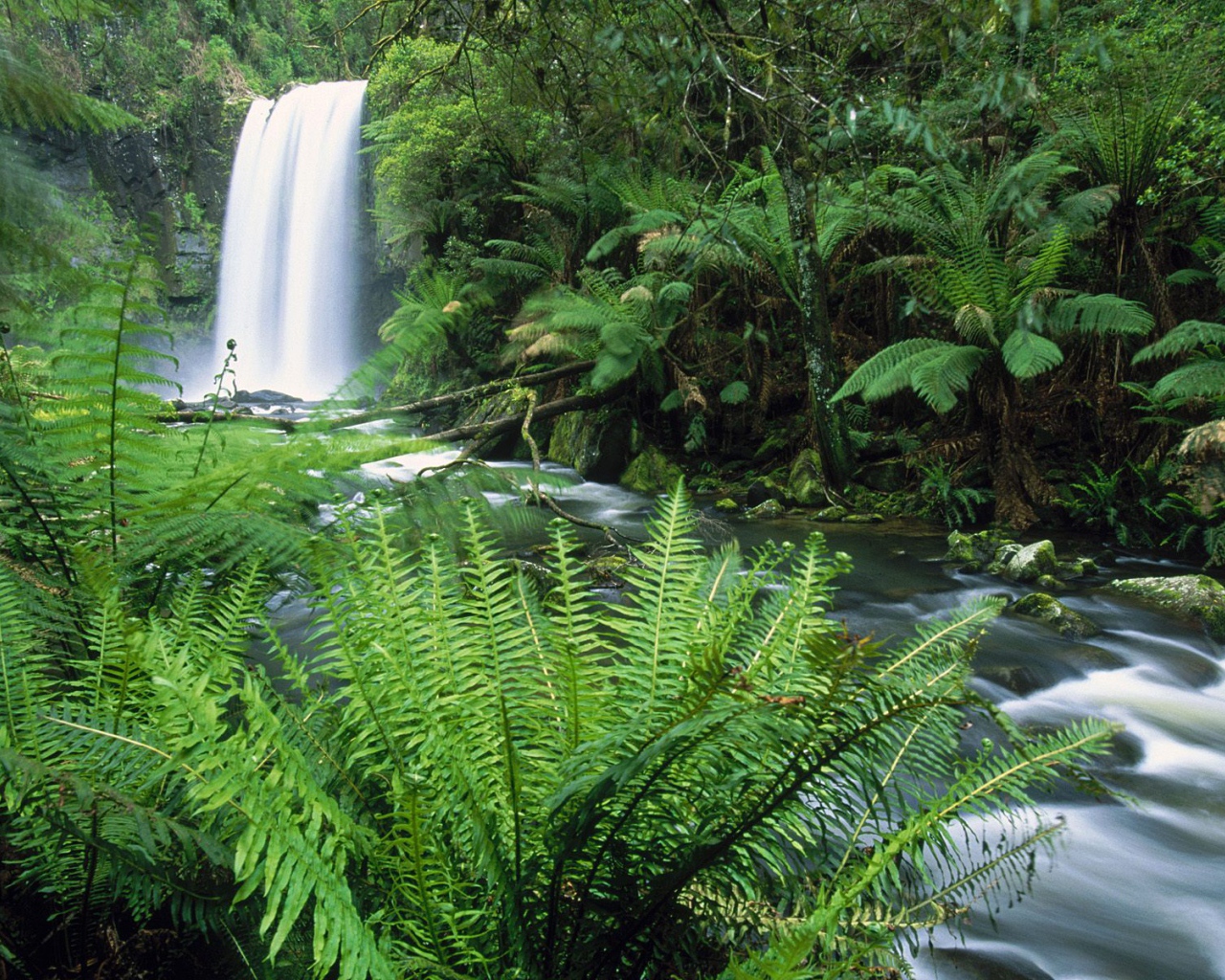 Водопады Хопетон / Местечко Отвэй / Виктория / Австралия