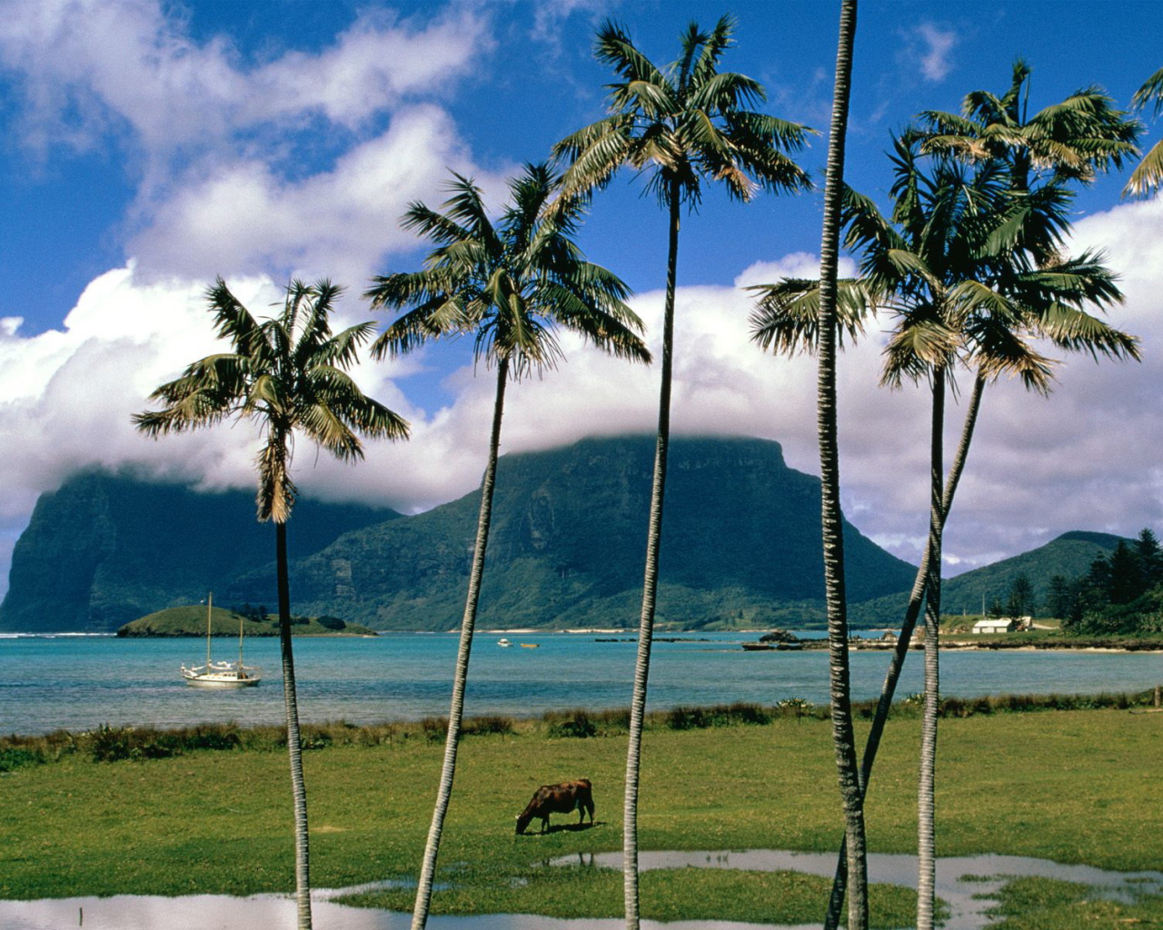 Остров Lord Howe