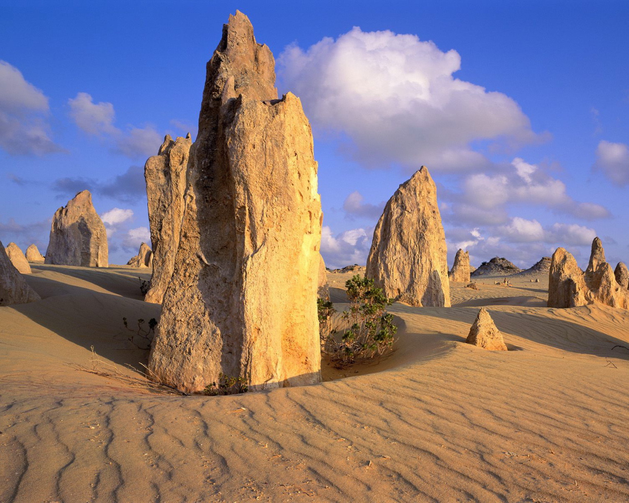 Каменная пустыня - Австралия