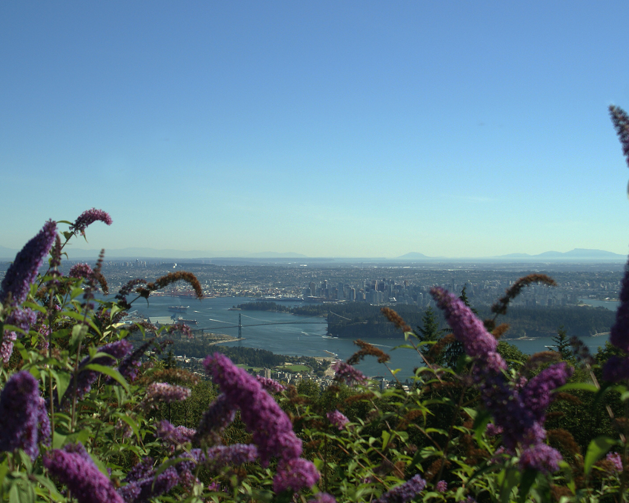 Цветочный Ванкувер