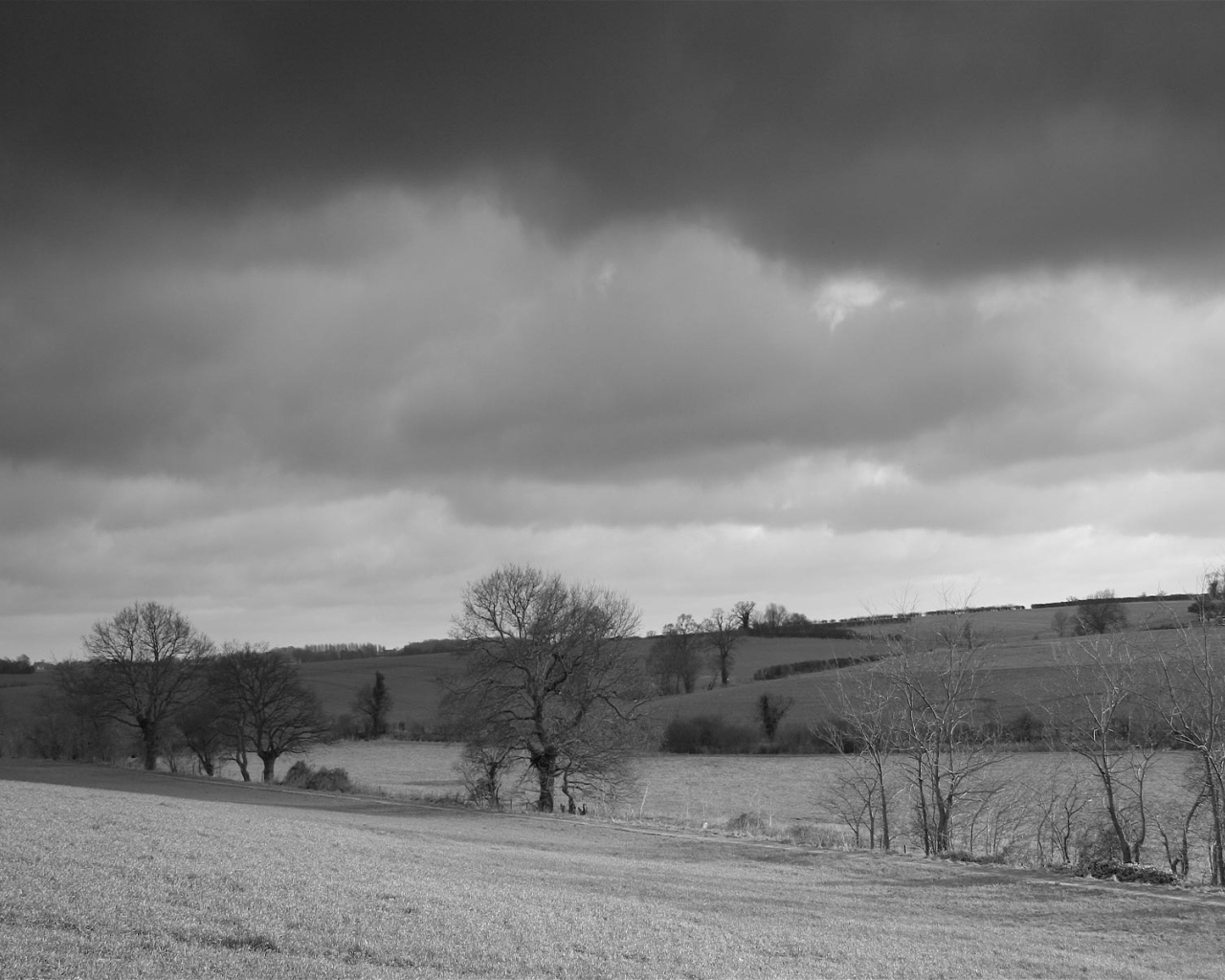 Серая страна